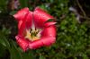 0409_Pierrefitte_218.jpg