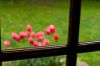 0409_Pierrefitte_260.jpg