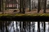 0410_Pays-Bas_028.jpg