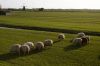 0410_Pays-Bas_072.jpg