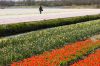 0410_Pays-Bas_156.jpg