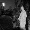 0410_Vezelise_27-2_531_nb.jpg