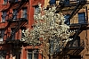 0414_New_York_333.jpg