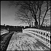 0414_New_York_iPhone_137-600.jpg