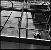 0414_New_York_iPhone_191-600.jpg