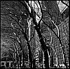 0414_New_York_iPhone_250-600.jpg