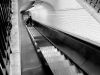 0507-Mouret-Paris-06nbnt.jpg