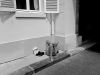 0507-Mouret-Paris-10.jpg