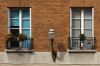 0508_Suresnes_19.jpg