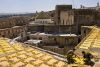 0510_Maroc_256_700.jpg