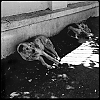 0514_Istanbul_iPhone_086.jpg