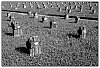 0515_Lombardie_M_127_nb.jpg