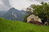 0515_Lombardie_M_517-700.jpg