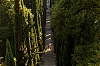0713_Italie_703-700.jpg
