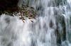 0807-Jura-E100-32.jpg