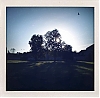 0810_Arc_et_Senans_pola_04_rec.JPG