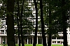 0811_Vezelise_031.jpg