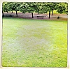 0811_Vezelise_iPhone_013.jpg