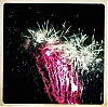 0811_Vezelise_iPhone_024.jpg