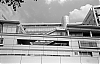 0813_D39_21-800.jpg