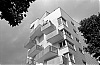 0813_D39_23-800.jpg