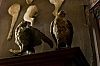 0814_Thomery_12-600.jpg