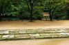 0910_Seoul_184_700.jpg