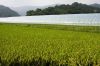 0910_Seoul_370_700.jpg