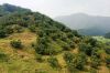 0910_Seoul_375_700.jpg