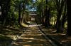 0910_Seoul_528_700.jpg