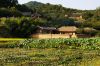 0910_Seoul_679_700.jpg