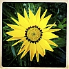 0911_Vezelise_iPhone_10.jpg