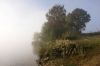 1009_Thonon_06.jpg
