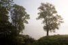 1009_Thonon_11_800.jpg