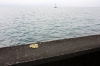 1010Thonon10.jpg
