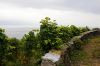 1010Thonon14-700~0.jpg