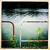 1011_Giverny_iPhone_pola_25-600.jpg