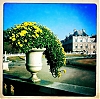 1011_Paris_iPhone_11-600.jpg