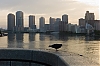 1013_Tokyo_145-800.jpg
