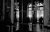 1113_D40_14-800.jpg