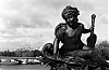 1113_D41_11.jpg