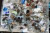 1208_Venise_569_600.jpg