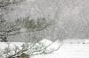 1209_Neige_05_600.jpg