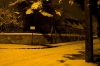 1210Neige11.jpg