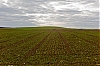 1213_Vezelise_53-800.jpg