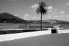 Canaries-85-123nbnt~0.jpg