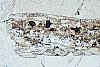 ES3-26_04-600.jpg