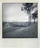 IMG_0619.JPG