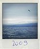 IMG_1641.jpg