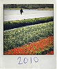 IMG_1675_2.jpg